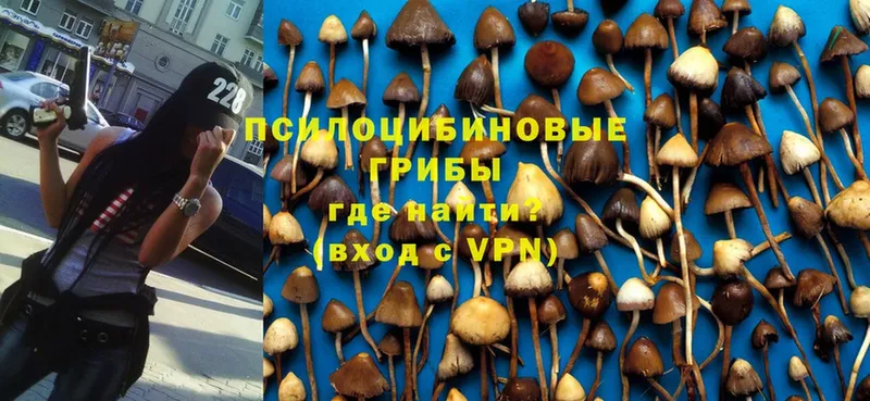 Галлюциногенные грибы Psilocybe  hydra маркетплейс  Заполярный 